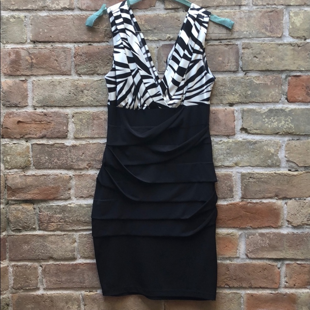 Fitted zebra print dress